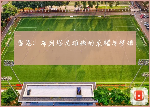 雷恩：布列塔尼雄狮的荣耀与梦想