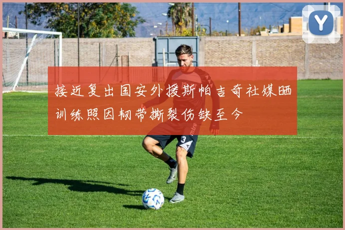 接近复出国安外援斯帕吉奇社媒晒训练照因韧带撕裂伤缺至今