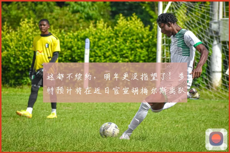这都不续约，明年更没指望了！多特预计将在近日官宣胡梅尔斯离队