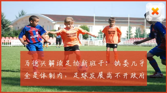马德兴解读足协新班子：执委几乎全是体制内，足球发展离不开政府